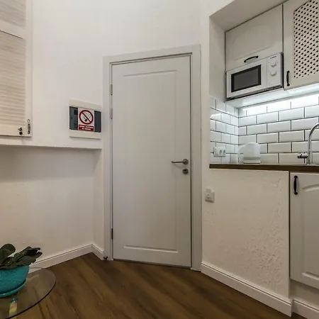 Apartment Cozy Loft